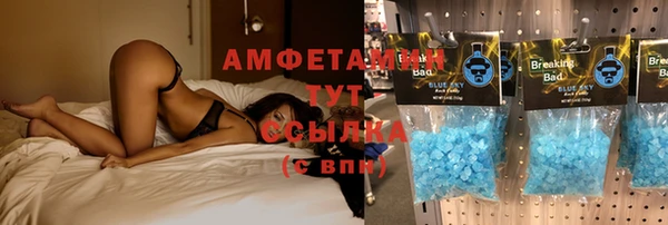мет Снежногорск
