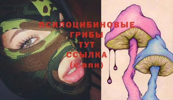 ALPHA-PVP Бугульма